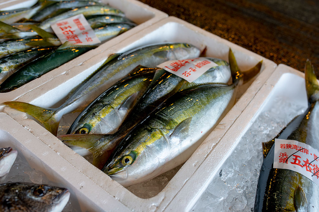 今日は魚が少ないけれど 越前かに 若狭三方の魚屋さん